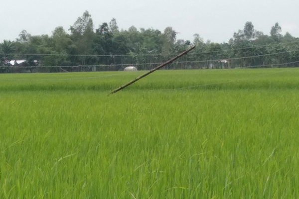 নীলফামারীতে বিদ্যুৎস্পৃষ্ট হয়ে কৃষকের মৃত্যু