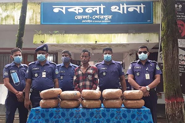 শেরপুরে গাঁজাসহ মাদক ব্যবসায়ী গ্রেফতার