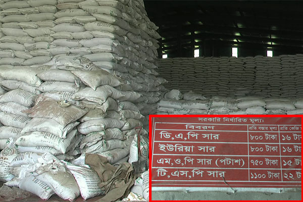 নেত্রকোনায় সঙ্কট দেখিয়ে সারের দাম বৃদ্ধি, দিশেহারা কৃষক