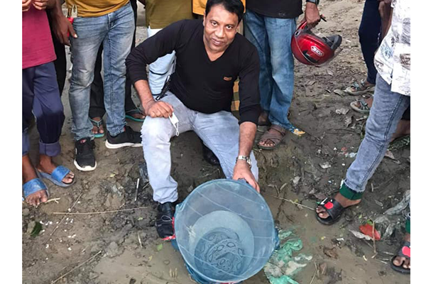 জেলের জালে বিলুপ্তপ্রায় বিষধর রাসেল ভাইপার সাপ