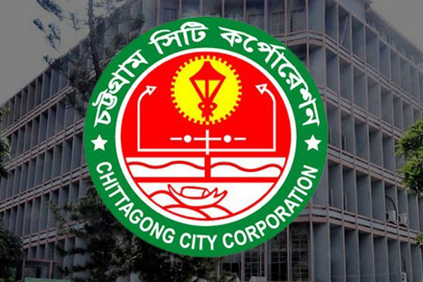 আওয়ামী লীগের ২০ প্রার্থীর বিপরীতে বিএনপির এক!