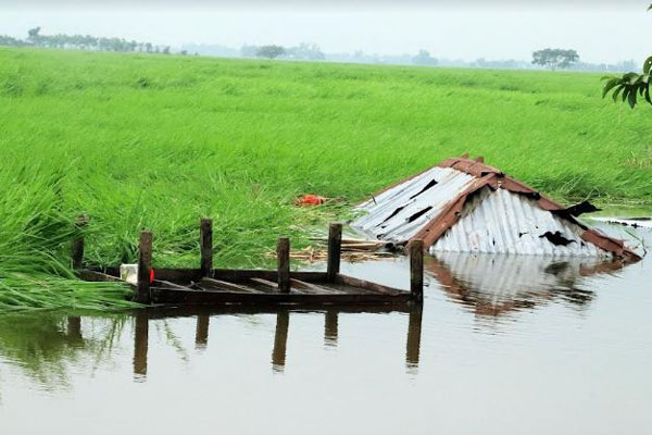 ইউপি সদস্যের নেতৃত্বে কৃষকের বাড়ি ভাঙচুরের অভিযোগ