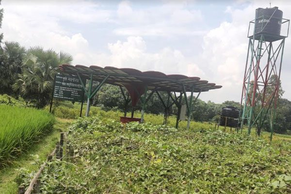 নওগাঁয় সৌরবিদ্যুৎ চালিত পাতকুয়ায় সুফল পাচ্ছে প্রান্তিক চাষীরা