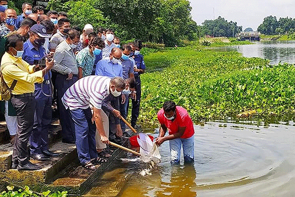 নবগঙ্গা নদীতে মাছের পোনা অবমুক্তকরণ