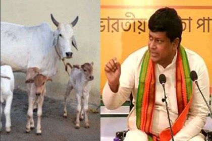‌‘গরুর দুধে সোনা তত্ত্ব’ নিয়ে এবার যা বললেন বিজেপির পশ্চিমবঙ্গ রাজ্য সভাপতি সুকান্ত