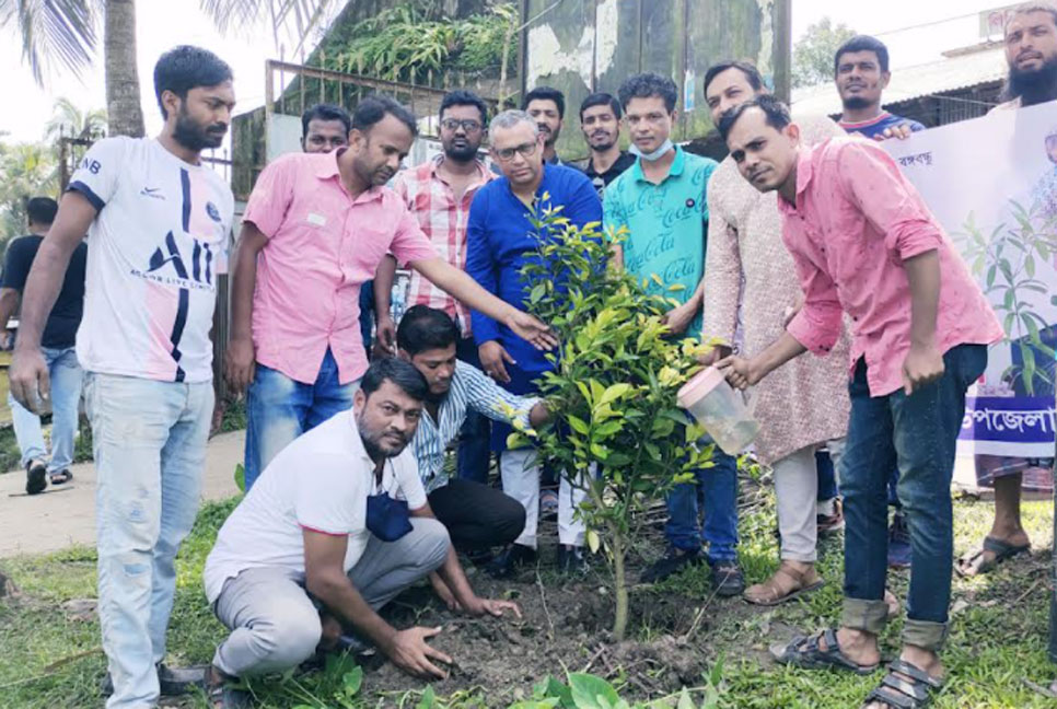 গলাচিপায় বৃক্ষরোপণ কর্মসূচির উদ্বোধন