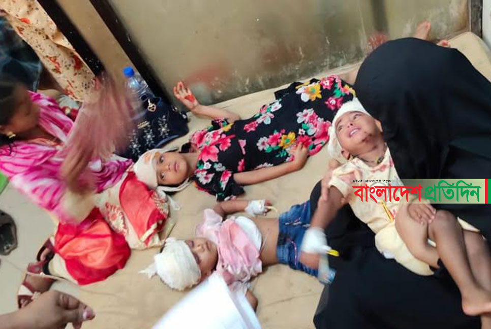 নোয়াখালীতে বরযাত্রীবাহী মাইক্রো দুর্ঘটনায় নিহত ১, আহত ১২