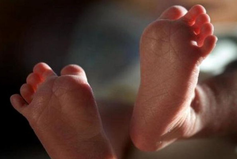 ঝিনাইদহে সাপের কামড়ে শিশুর মৃত্যু 