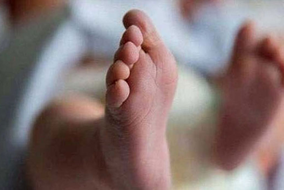 শৈলকুপায় সাপের কামড়ে শিশুর মৃত্যু