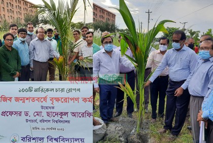 বরিশাল বিশ্ববিদ্যালয়ে ১শ’ নারিকেল গাছের চারা রোপন