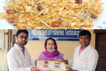 কাচকি মাছের চানাচুর-কুড়কুড়ে বাদাম ও তিলের বার তৈরি করল বাকৃবি