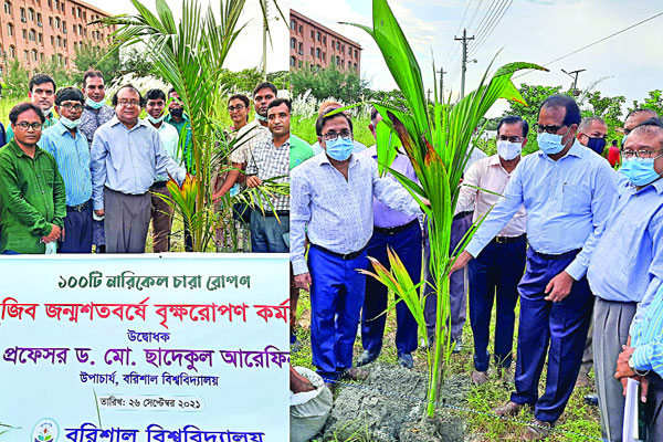 বরিশাল বিশ্ববিদ্যালয়ে নারিকেল চারা রোপণ কর্মসূচির উদ্বোধন