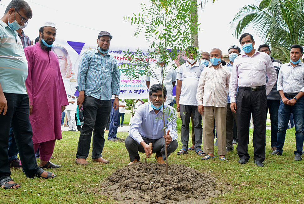 প্রধানমন্ত্রীর জন্মদিন উপলক্ষে কুয়েটে বৃক্ষরোপণ কর্মসূচি