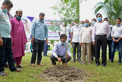 প্রধানমন্ত্রীর জন্মদিন উপলক্ষে কুয়েটে বৃক্ষরোপণ কর্মসূচি
