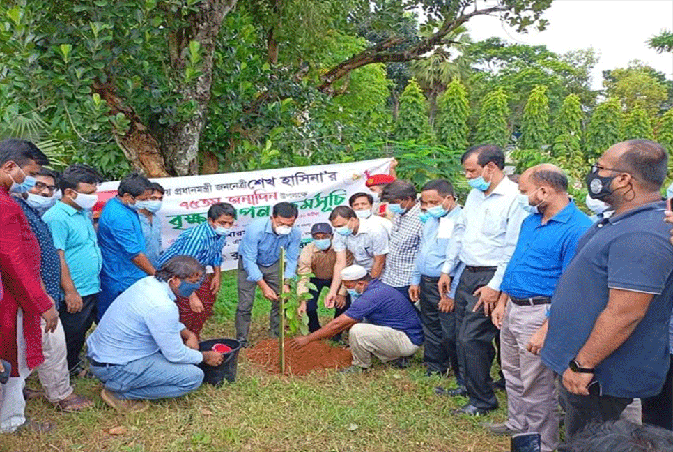 কুবিতে প্রধানমন্ত্রীর ৭৫তম জন্মদিনে ৭৫টি বৃক্ষরোপণ