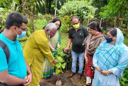দুর্লভ উদ্ভিদ সংরক্ষণে জাবিতে ২০০টি গাছের চারা রোপণ