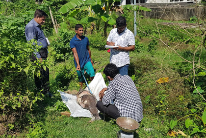 হালদায় মিলল ৪০ কেজির মৃত ডলফিন