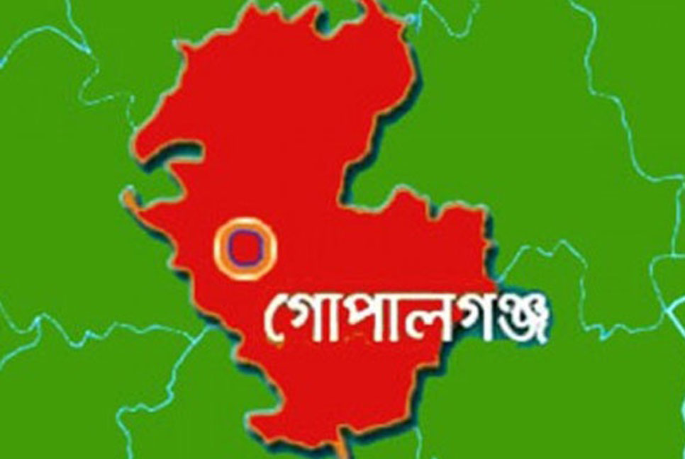 কাশিয়ানীতে চিকিৎসকের ওপর দুর্বৃত্তদের হামলা