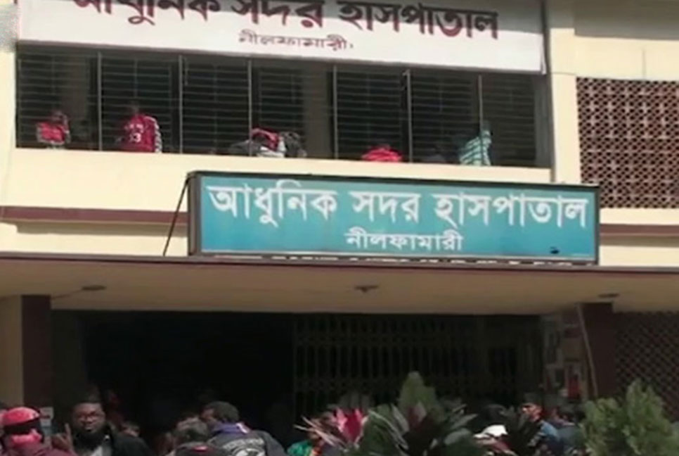 বোনের পোষা কবুতর খেল কুকুর, ভয়ে আত্মহত্যা ছোট ভাইয়ের

