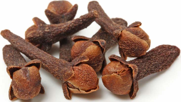 মুখের দুর্গন্ধ দূর করতে লবঙ্গ তুলনাহীন