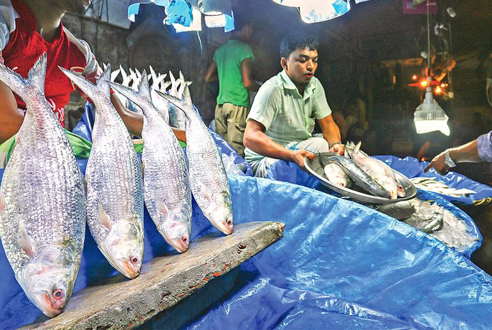 বাগেরহাটে নিষেধাজ্ঞা শুরুর আগের দিনে ইলিশের চড়া দাম