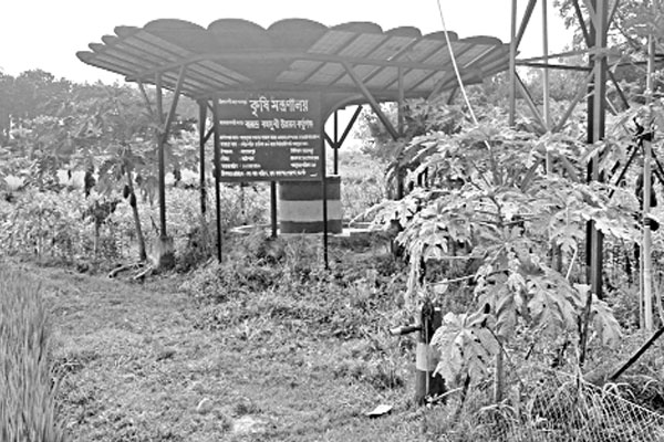 পাতকুয়ায় সুফল পাচ্ছেন প্রান্তিক চাষিরা
