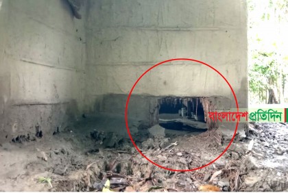 বিশ্বনাথে ফের সিঁধেল চোরের উপদ্রব! 
