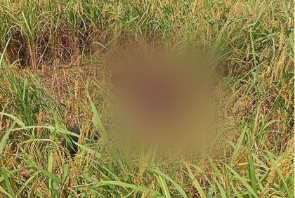 ঠাকুরগাঁওয়ে ধানক্ষেত থেকে যুবকের মরদেহ উদ্ধার