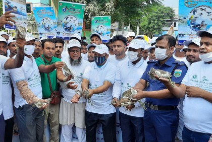 সিংড়ায় বিশ্ব পরিযায়ী পাখি দিবসে র‌্যালি 