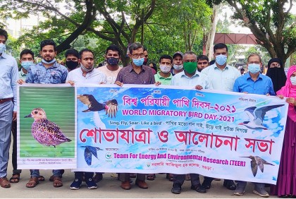বগুড়ায় বিশ্ব পরিযায়ী পাখি দিবস পালন