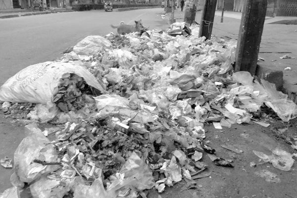 যত্রতত্র ফেলা হচ্ছে ময়লা, নেই ডাস্টবিন