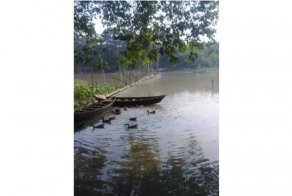 কুমার নদে আড়াআড়ি বাঁধ দিয়ে নির্বিচারে চলছে মাছ শিকার  