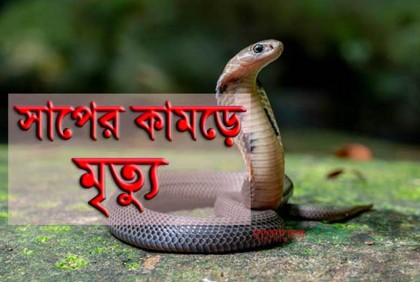 মান্দায় সাপের কামড়ে একজনের মৃত্যু