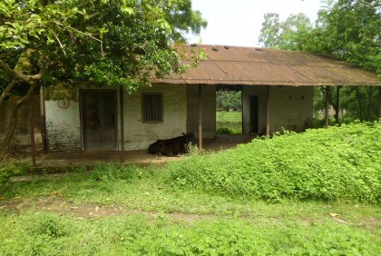 আদমদীঘির ছাতিয়ানগ্রামের রেলস্টেশন যেন ভূতের বাড়ি!
