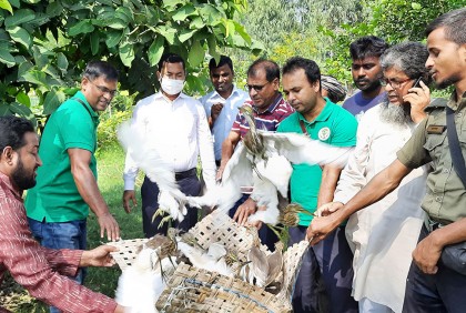 নতুন জীবন পেল ১০১ পাখি, ৩ শিকারির জেল-জরিমানা