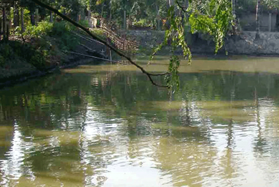 ঠাকুরগাঁওয়ে পানিতে ডুবে দুই ভাইয়ের মৃত্যু