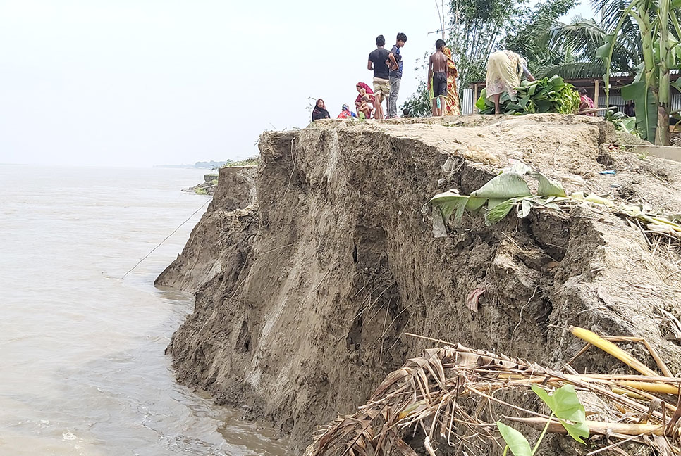 নদী ভাঙনে দিশেহারা পদ্মা পাড়ের মানুষ 