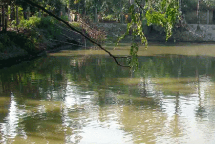 ঠাকুরগাঁওয়ে পানিতে ডুবে দুই ভাইয়ের মৃত্যু
