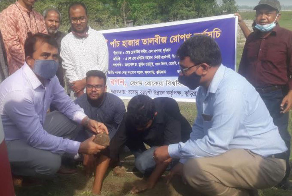 কুড়িগ্রামে সড়কে
৫ হাজার তালবীজ রোপণ
