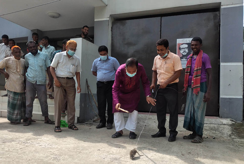 ইঁদুর নিধন অভিযানের উদ্বোধন, পুরস্কার ঘোষণা