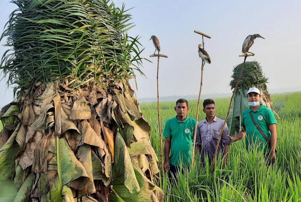 মুক্ত আকাশে উড়লো ২০ বক পাখি