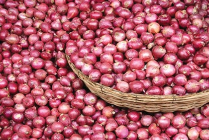 কমতে শুরু করেছে পেঁয়াজের দাম