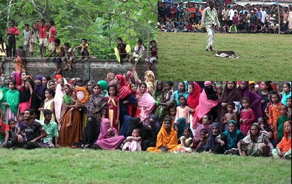 তন্ত্রমন্ত্র দিয়ে পাতা রূপী সাপ টানার প্রতিযোগিতা 