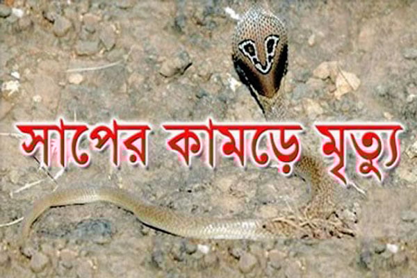 সাপের কামড়ে শিশুর মৃত্যু