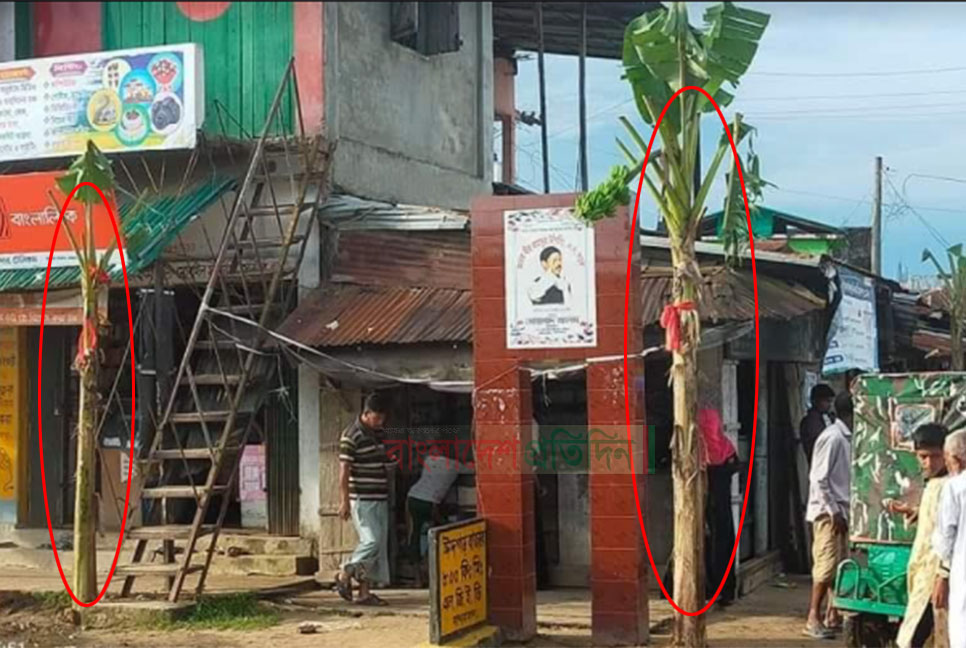 মনোনয়ন বঞ্চিত হয়ে কলাগাছ লাগিয়ে প্রতিবাদ!