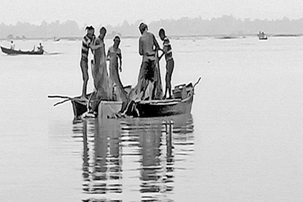 অবৈধ জাল দিয়ে মাছ শিকারের মহোৎসব