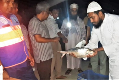 পদ্মায় ইলিশ ধরায় ৩১ জেলের কারাদণ্ড-জরিমানা 