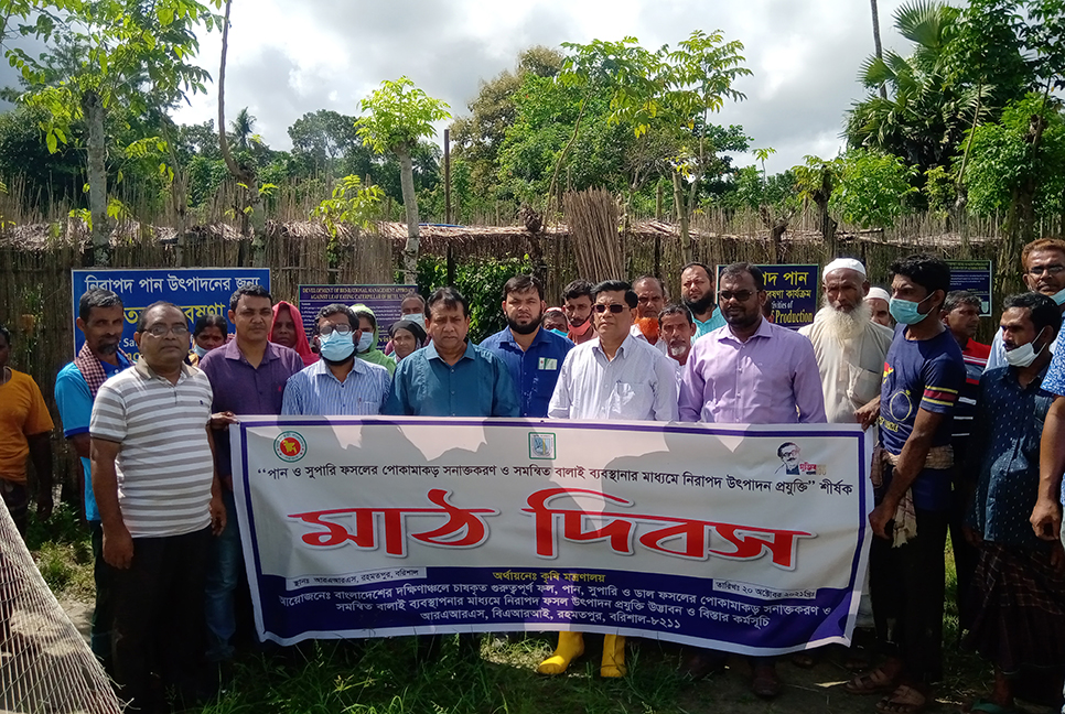 পান-সুপারির নিরাপদ উৎপাদন প্রযুক্তি বিষয়ক মাঠ দিবস অনুষ্ঠিত