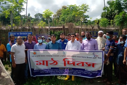 পান-সুপারির নিরাপদ উৎপাদন প্রযুক্তি বিষয়ক মাঠ দিবস অনুষ্ঠিত