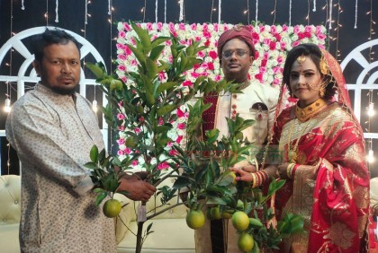টাকা নয় বিয়েতে বর-কনেকে দিলেন মাল্টাসহ গাছ